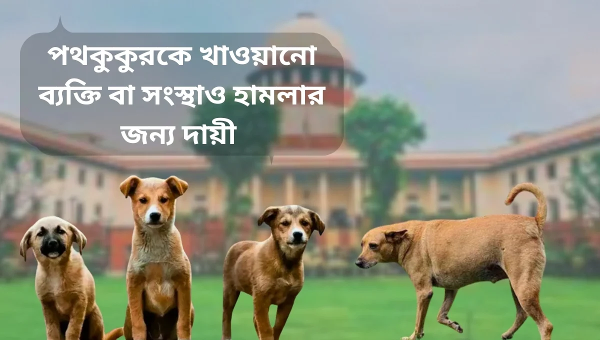 Supreme Court's big warning